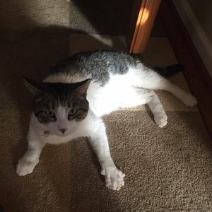 Meet your Posher, Beverly